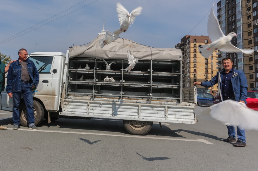  ������ ������ 