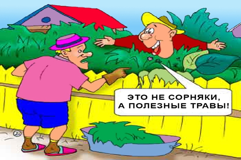 Удачный союз