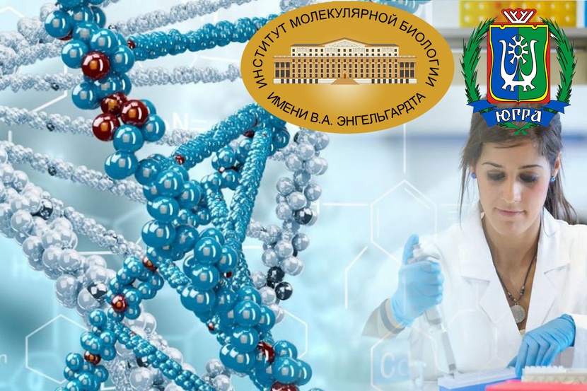 Новые генетические. Направленность (молекулярная биология). Молекулярная биология в Россия. Геном институт молекулярной биологии. Новая генетика.