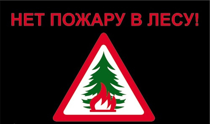 Мы вошли в лес. Противопожарные знаки в лесу. Осторожно лес. Противопожарная безопасность в лесу табличка. Нет пожару.