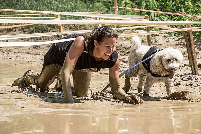 собака на доске для серфинга. собака на парашюте. Partex dog extreme sports. каникросс с немецкой овчаркой. собака прыгает с парашютом.