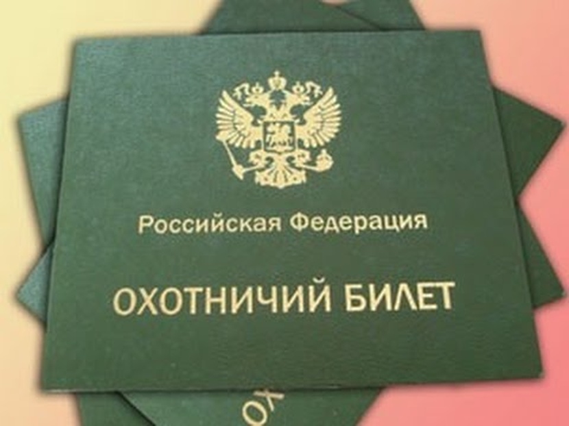 Челябинская область оптимизирует процесс получения охотничьего билета Охотники.р