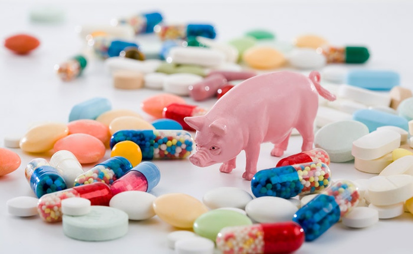 Антибиотики в животноводстве. Лекарственные средства для животных. Микроорганизмы в животноводстве. Кормовые антибиотики.