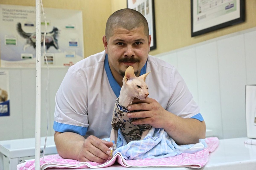 массимо ваккетта ветеринар. мамонова ветклиника тюмень. ветврач тюмень. антон рагозин тюмень. крым ветеринар дмитрий.