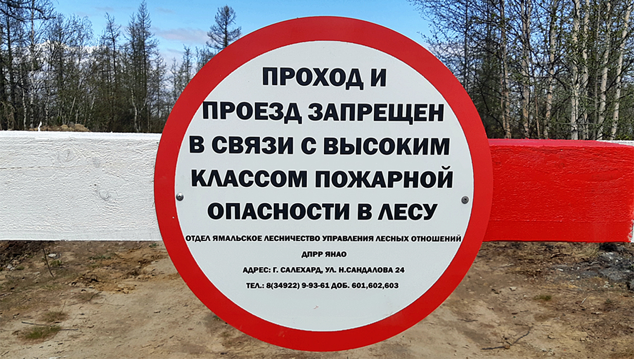 Отменили ли противопожарный режим. Ограничение пребывания в лесах. Ограничение пребывания граждан в лесах. Запрет на пребывание граждан в лесах. Посещение леса запрещено.